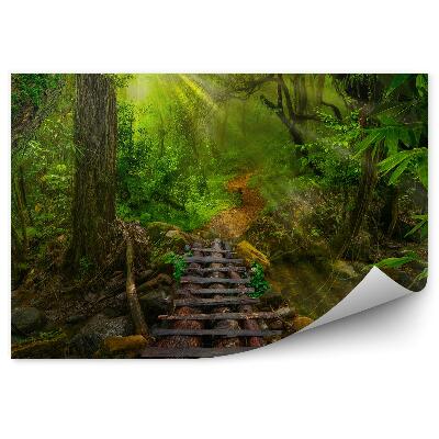 Fototapet Debarcader Din Lemn Din Jungla Tropicală Asiatică