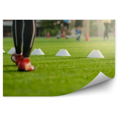 Fototapet vintage Acțiune pe terenul de fotbal