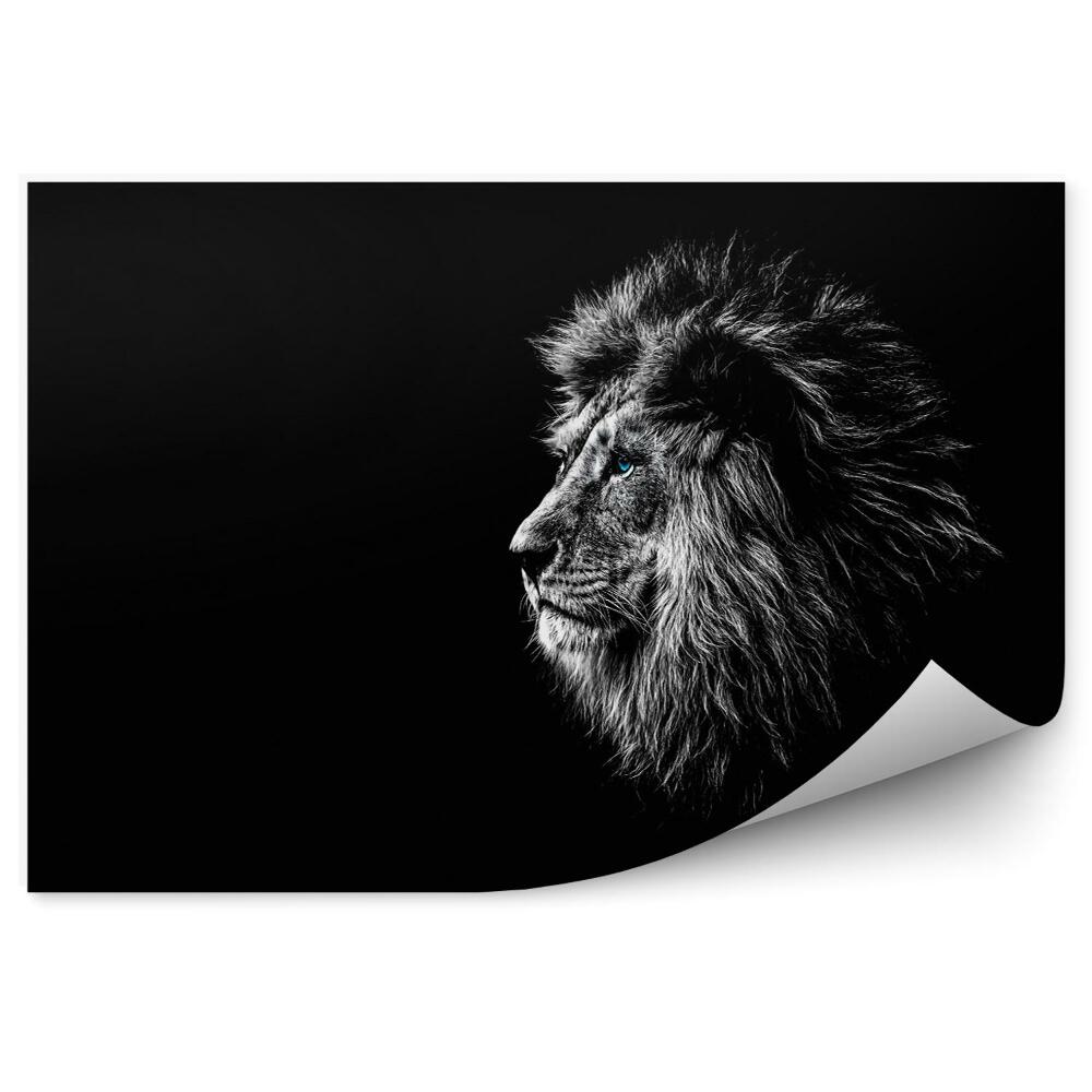 Fototapet pentru perete Lion in black