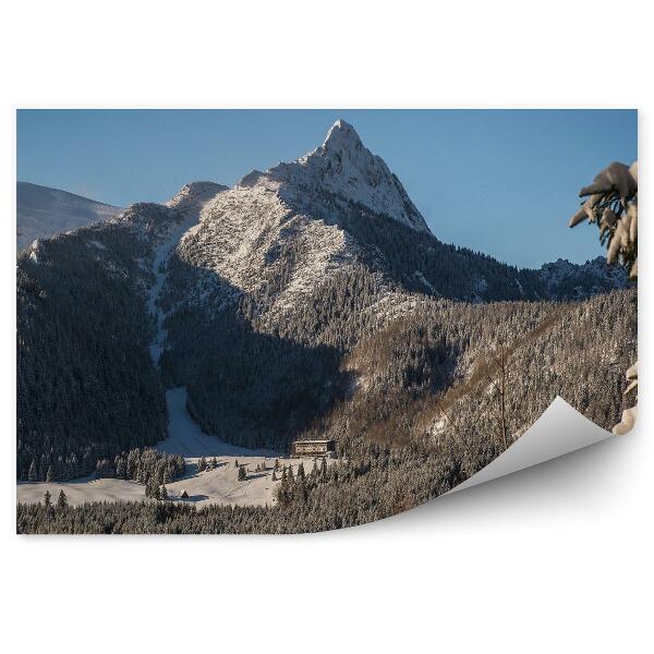 Fototapet Munții Giewont Tatry Conifere Zăpadă De Iarnă