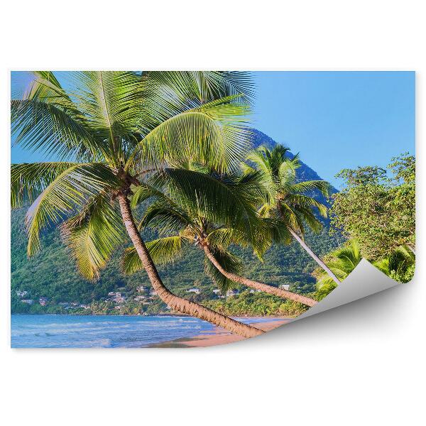 Decor fototapet Munți Marea Caraibelor Plajă Palmieri
