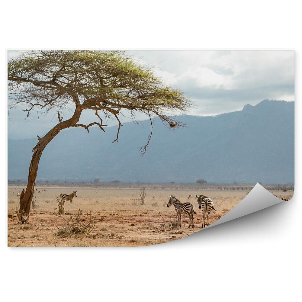 Fototapet Zebre Savana Africa Cer Munți