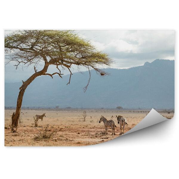 Fototapet Zebre Savana Africa Cer Munți
