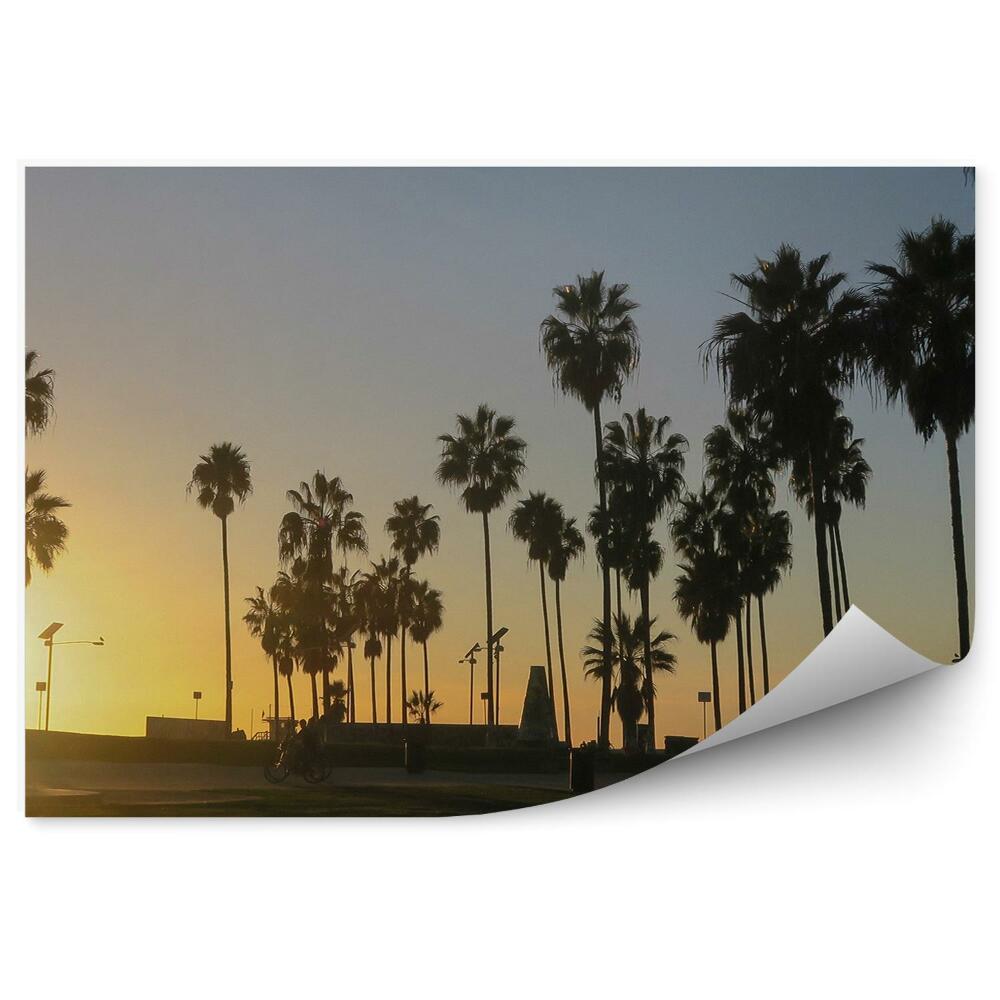 Fototapet vintage Palmieri Plajă Apus De Soare California