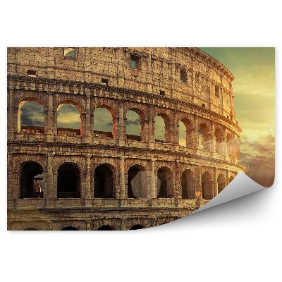 Fototapet Colosseum Ruine Copaci Apus Roma Italia