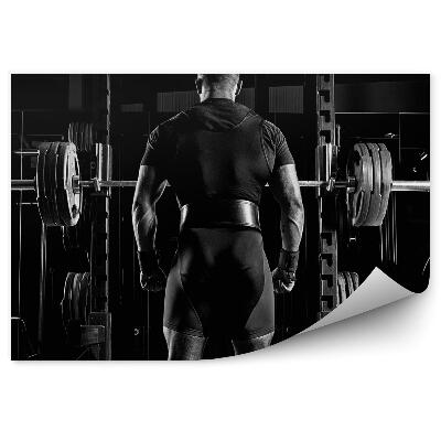 Fototapet Culturist haltere haltere