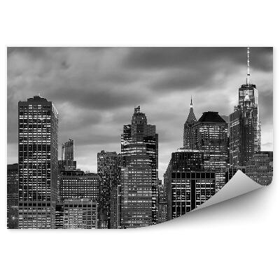 Fototapet pentru perete Imagine panoramică în alb și negru a orașului New York