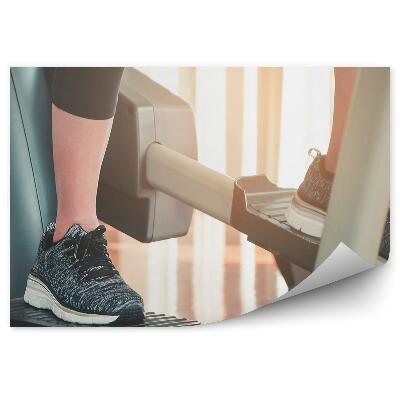 Fototapet perete Haltere sala de gimnastică culturist