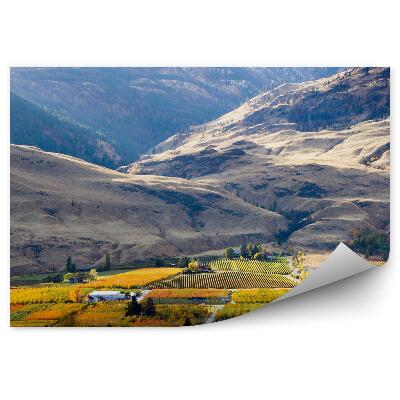 Fototapet pentru perete Case De Câmpuri De Munte