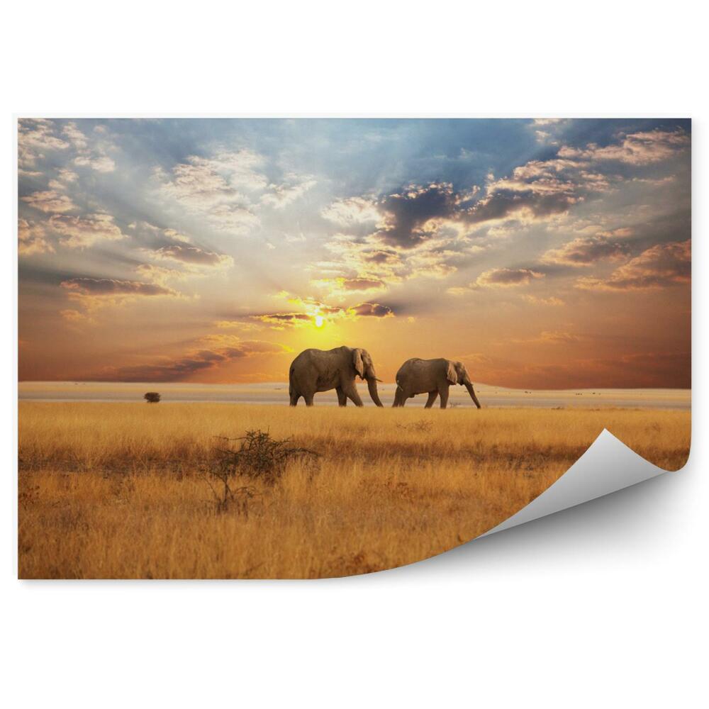 Fototapet perete Elephants in the desert