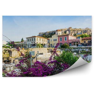 Fototapet perete Flori Cladiri Ruine Acropole Copaci Cer Atena Grecia