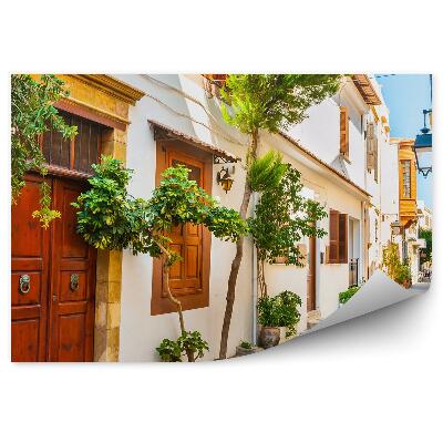 Fototapet vintage Plante stradale în alb, Grecia