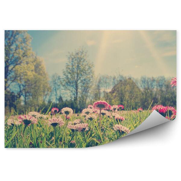 Decor fototapet Primavara Margarete Flori Lunca Verde Perspectiva