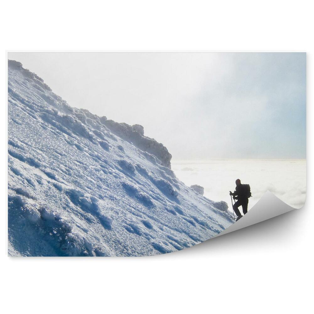 Fototapet vintage Excursionist Munți Iarnă Zăpadă Ceață Cer