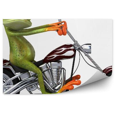 Fototapet perete Broască pe un elicopter