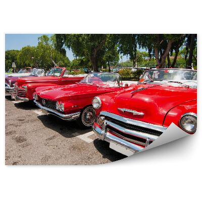 Fototapet vintage Mașini clasice americane