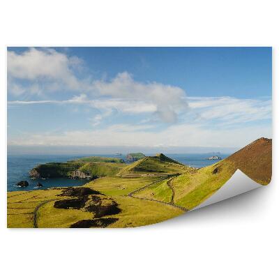 Fototapet Islanda natura drum iarba