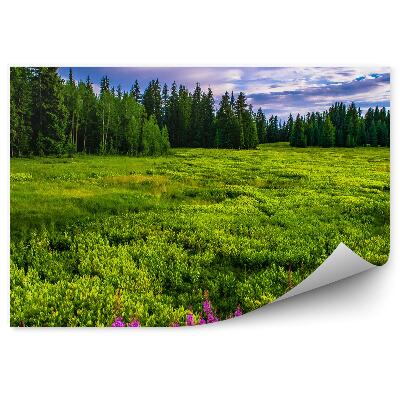 Fototapet vintage Poiana De Crăciun Cu Flori Colorate