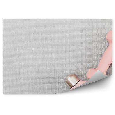 Fototapet vintage Haltere bidon sală de gimnastică