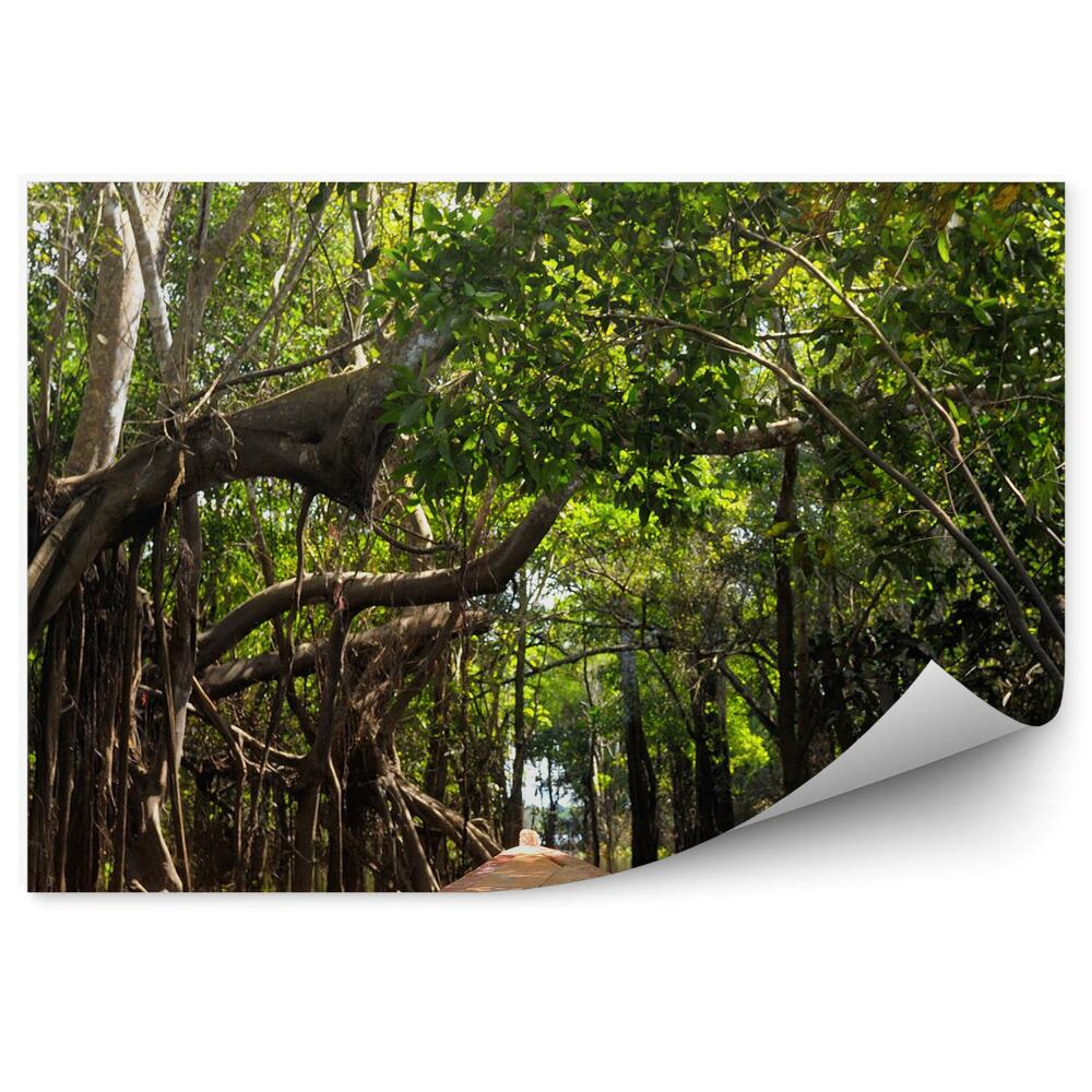 Fototapet perete Junglă Amazoniană, Barcă, Copaci, Apă