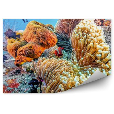 Fototapet pentru perete Animale Din Lumea Subacvatică A Recifului