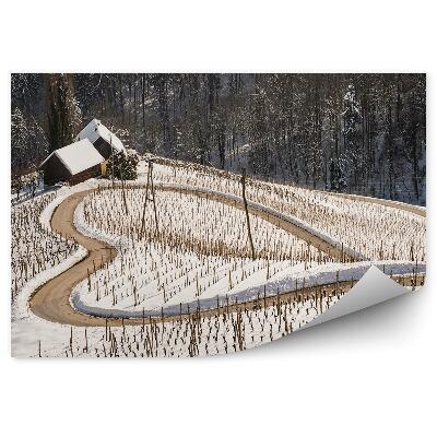 Fototapet Drum de zăpadă de iarnă în formă de inimă natura