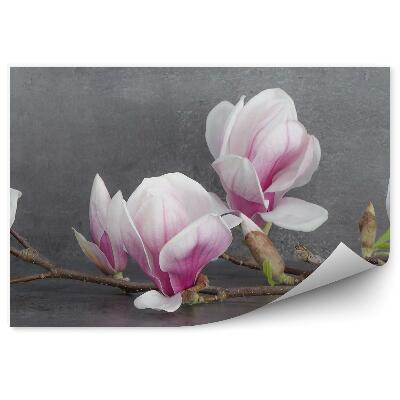 Decor fototapet Fundal de beton cu flori de magnolie