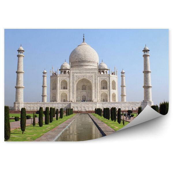 Fototapet Mausoleul taj mahal tufe natura