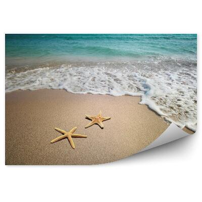 Fototapet Două Stele De Mare Pe Plajă