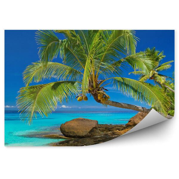 Fototapet pentru perete Plajă tropicală, palmieri, stânci, apă albastră