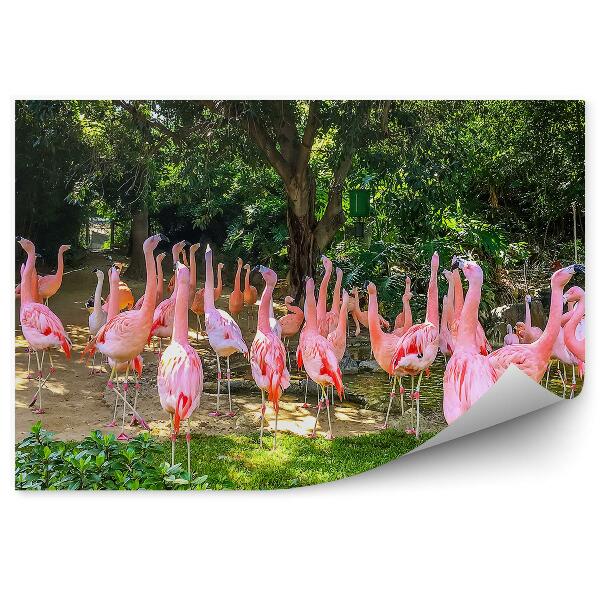 Fototapet vintage Flamingo Roz Copaci Plante Frunze De Palmier Frunze Exotice