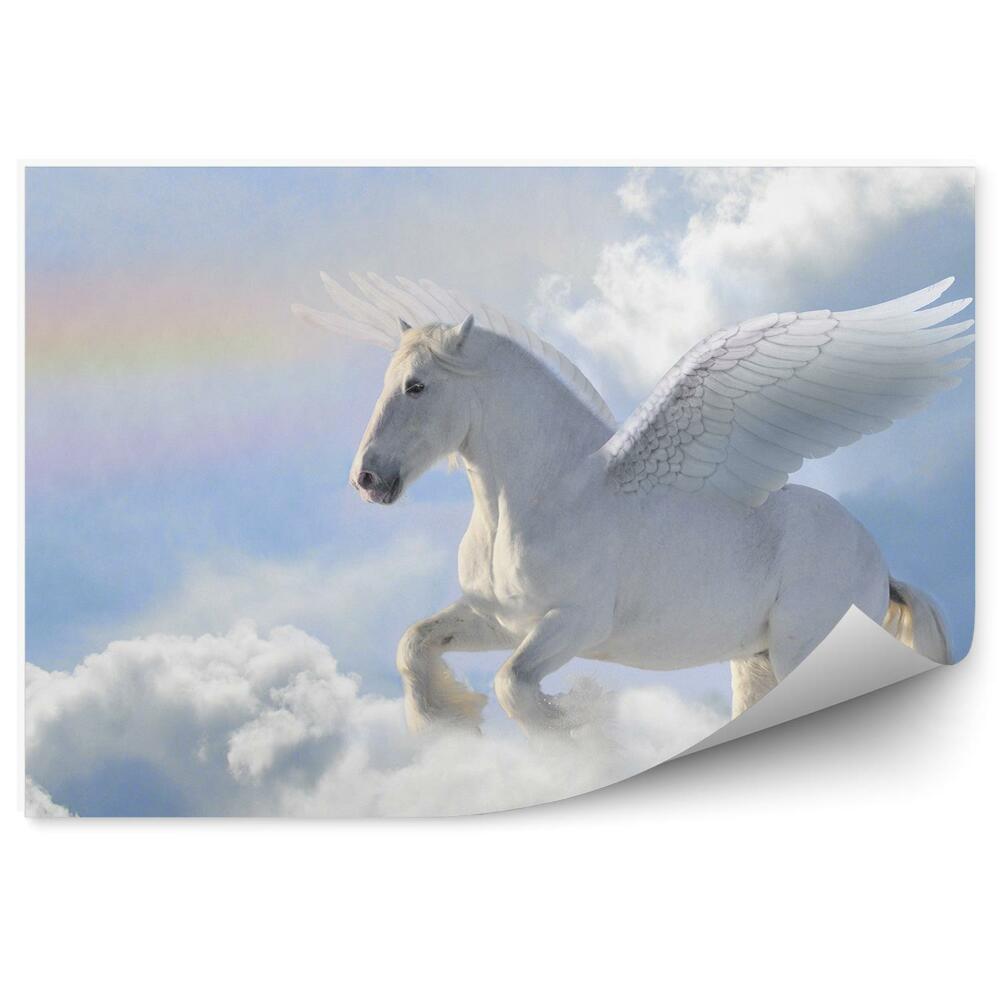 Fototapet perete Cal Pegasus Cer Nori Curcubeu