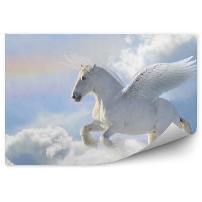 Fototapet perete Cal Pegasus Cer Nori Curcubeu