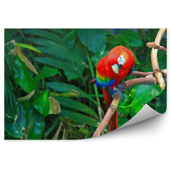 Fototapet pentru perete Papagal Macaw Pe Fundalul Junglei