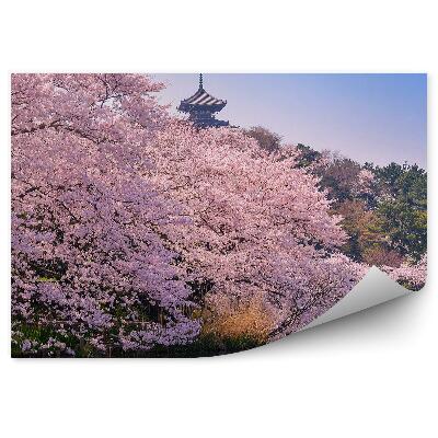 Decor fototapet Cireș arbori vegetație barca