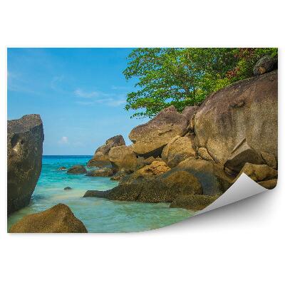 Decor fototapet Thailanda insulele tropicale copaci stânci