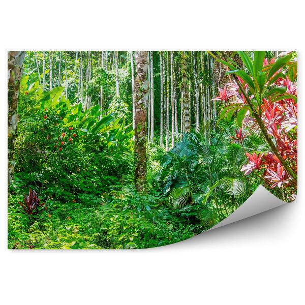 Fototapet vintage Plante Din Junglă Hawaii