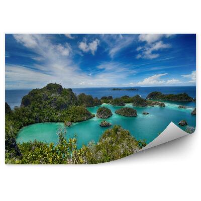 Fototapeta Wyspy pianemo w archipelagu raja ampat indonezja