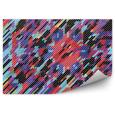 Fototapet vintage Dungi colorate