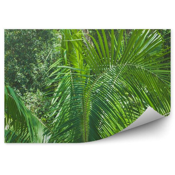 Fototapet perete Junglea Tropicală Lasă Plantele Naturii
