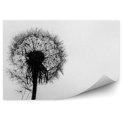 Fototapet vintage Picături de apă de păpădie