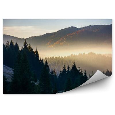 Fototapeta Wspaniały mglisty wschód słońca w górach