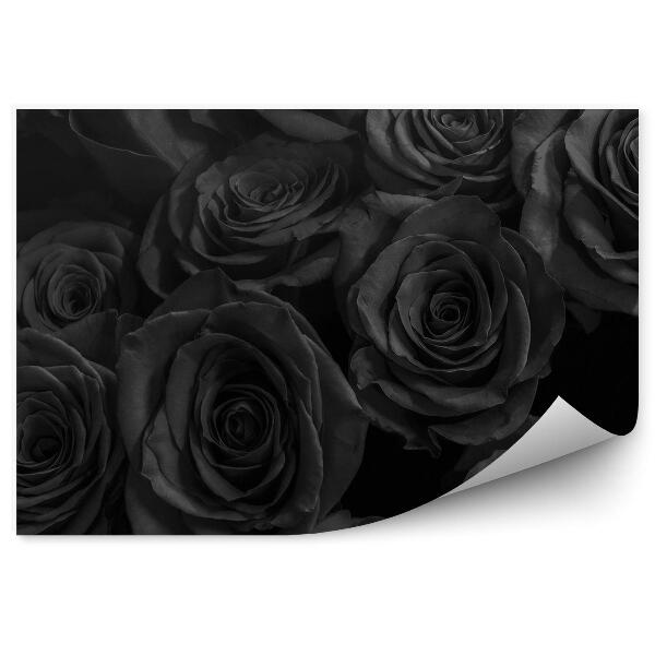 Decor fototapet Fundal cu flori de trandafiri negri