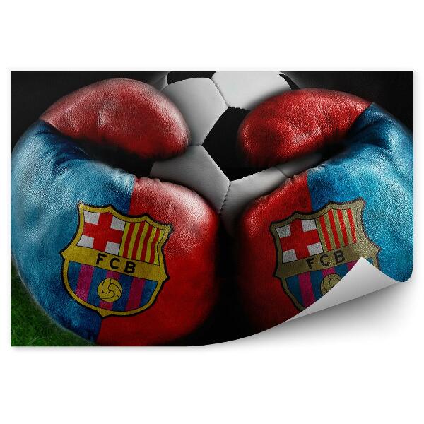 Fototapet vintage Box și fotbal Fotbal pe gazon FC Barcelona