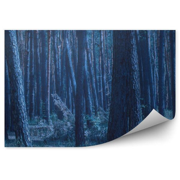 Decor fototapet Pădure Albastră