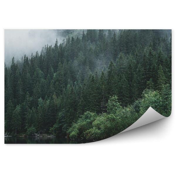 Decor fototapet Lac Conifere Om Pietre Ceață