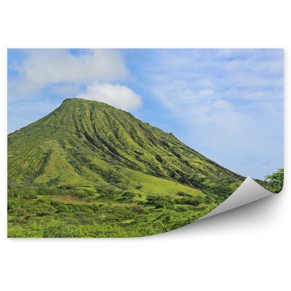 Fototapet vintage Peisaj Verde Munți Plante Oahu Insula Hawaii