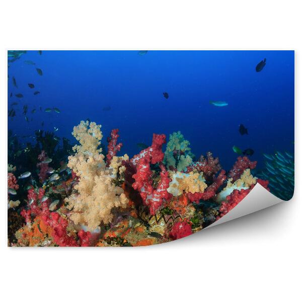 Decor fototapet Pești Tropicali De Recif De Corali Colorați
