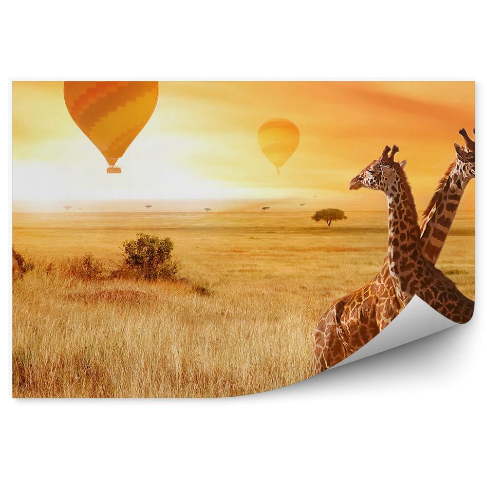 Fototapet perete Baloane girafe iarba natura portocaliu