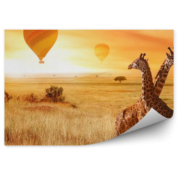 Fototapet perete Baloane girafe iarba natura portocaliu